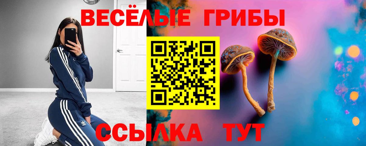 Галлюциногенные грибы Cubensis Люберцы